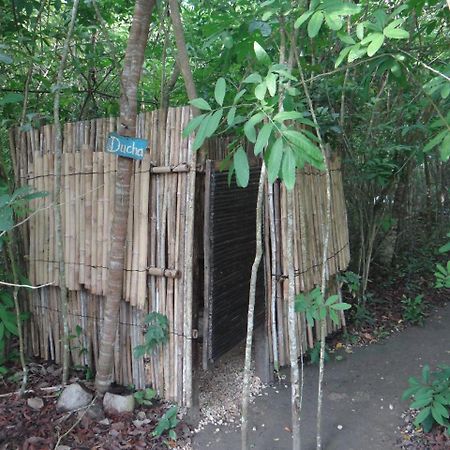 Eco-Camping Mango Feliz Rincon Del Mar San Onofre 외부 사진