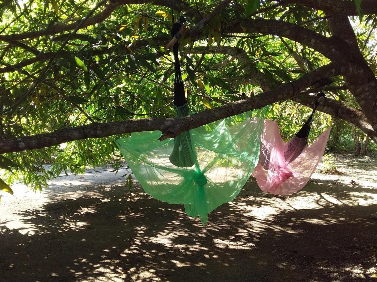 Eco-Camping Mango Feliz Rincon Del Mar San Onofre 외부 사진