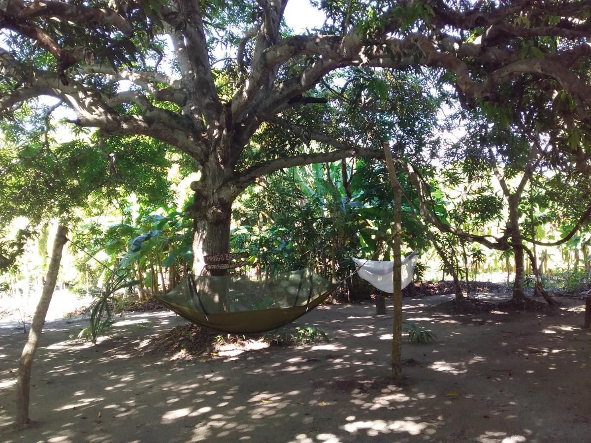 Eco-Camping Mango Feliz Rincon Del Mar San Onofre 외부 사진