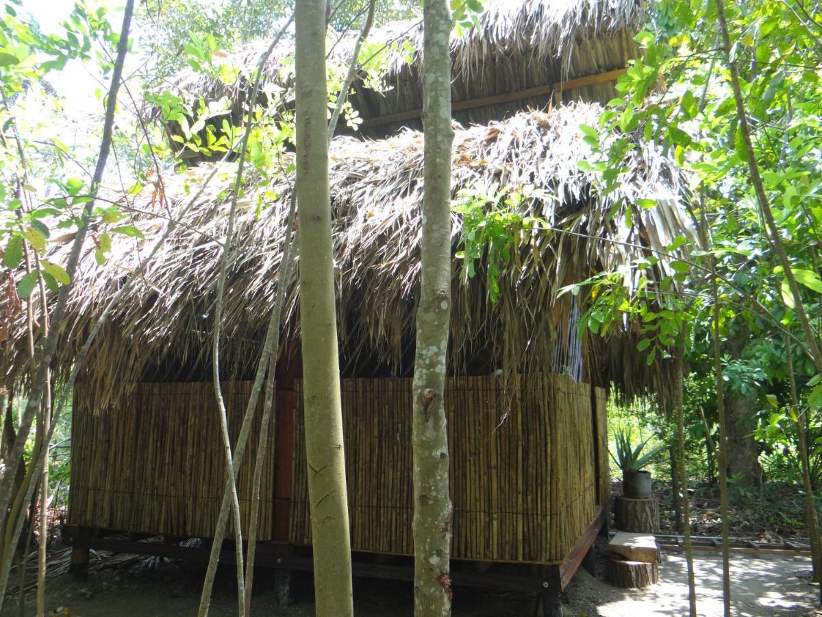 Eco-Camping Mango Feliz Rincon Del Mar San Onofre 외부 사진