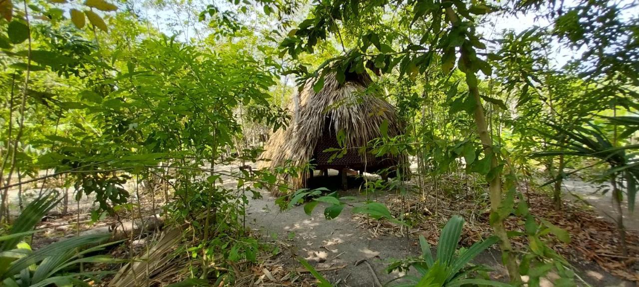 Eco-Camping Mango Feliz Rincon Del Mar San Onofre 외부 사진