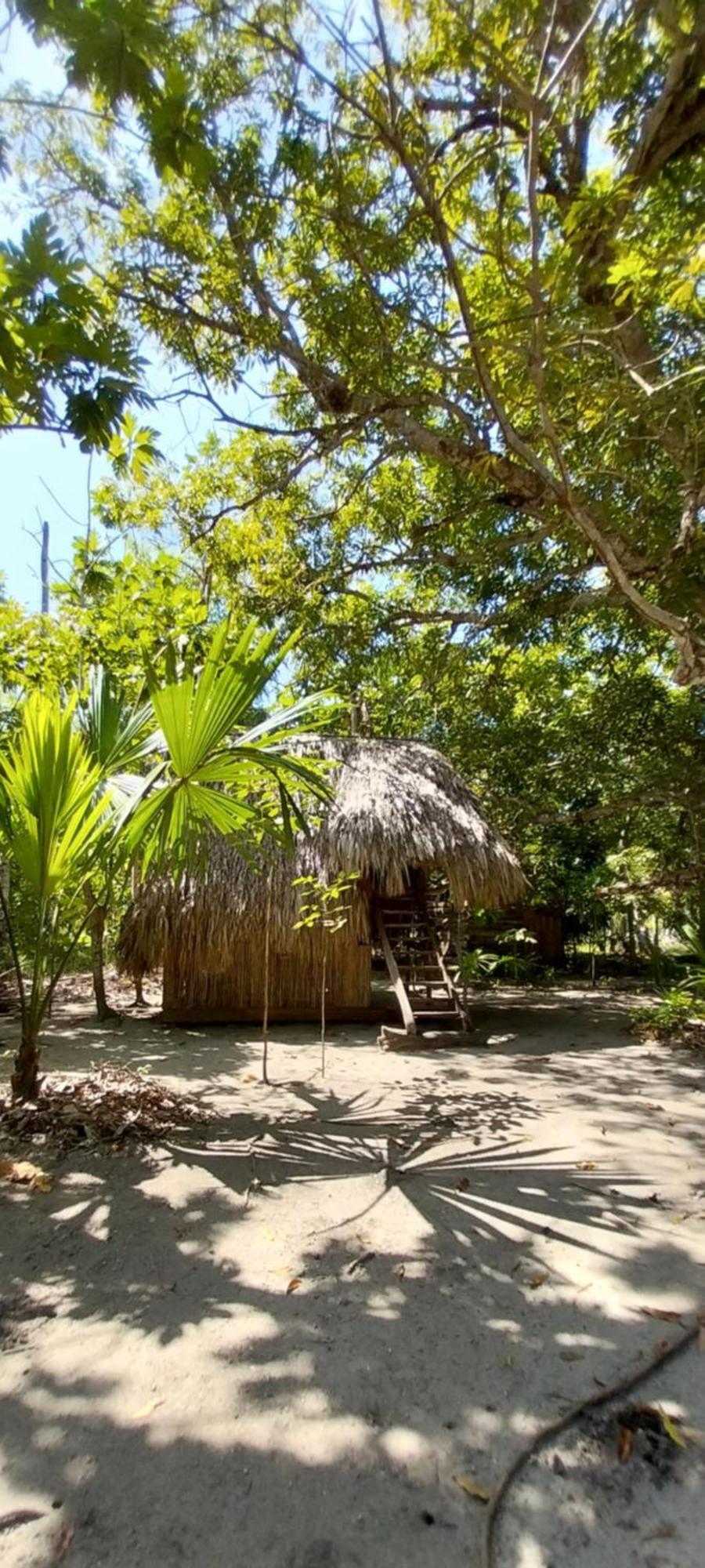 Eco-Camping Mango Feliz Rincon Del Mar San Onofre 외부 사진
