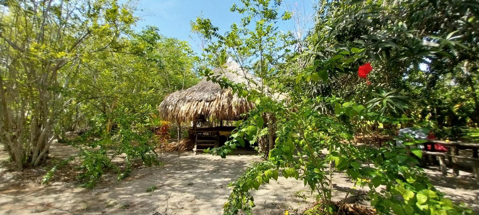 Eco-Camping Mango Feliz Rincon Del Mar San Onofre 외부 사진
