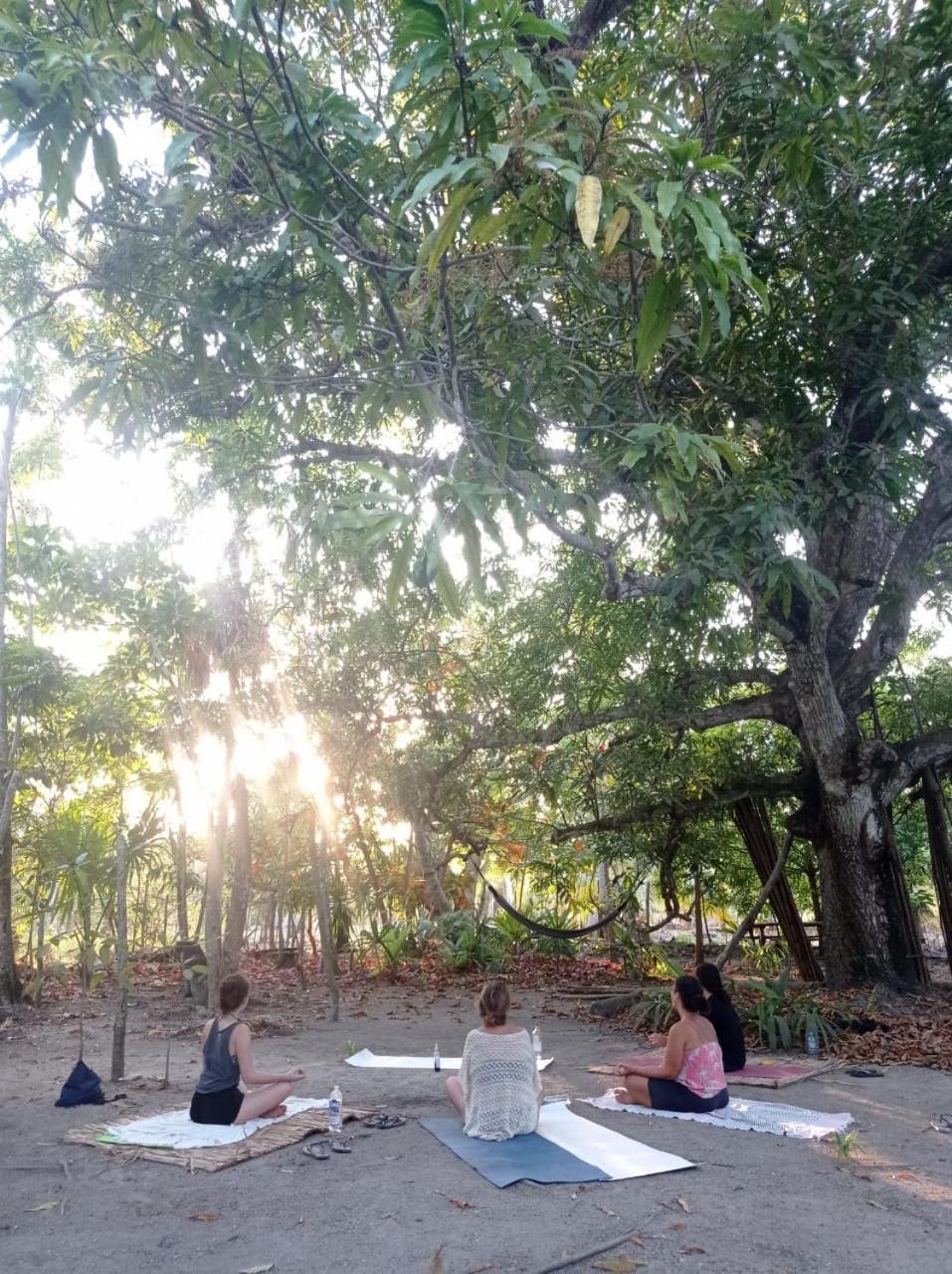 Eco-Camping Mango Feliz Rincon Del Mar San Onofre 외부 사진