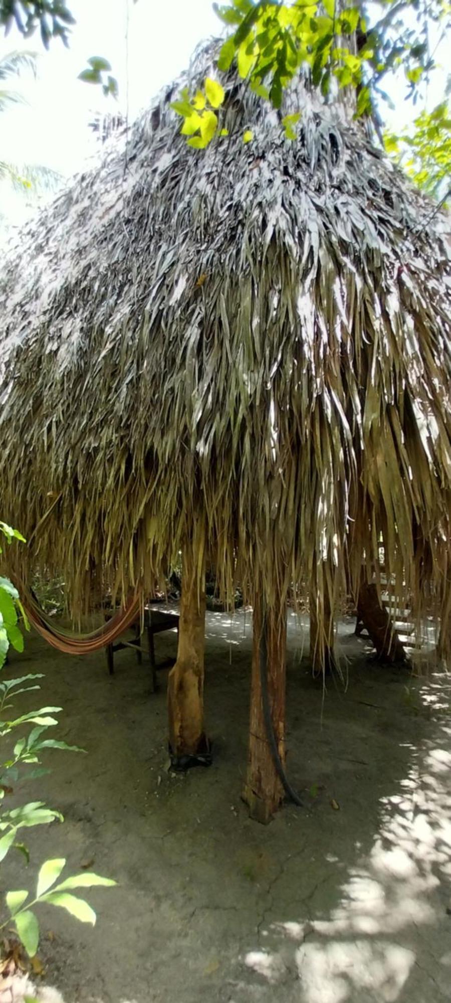 Eco-Camping Mango Feliz Rincon Del Mar San Onofre 외부 사진
